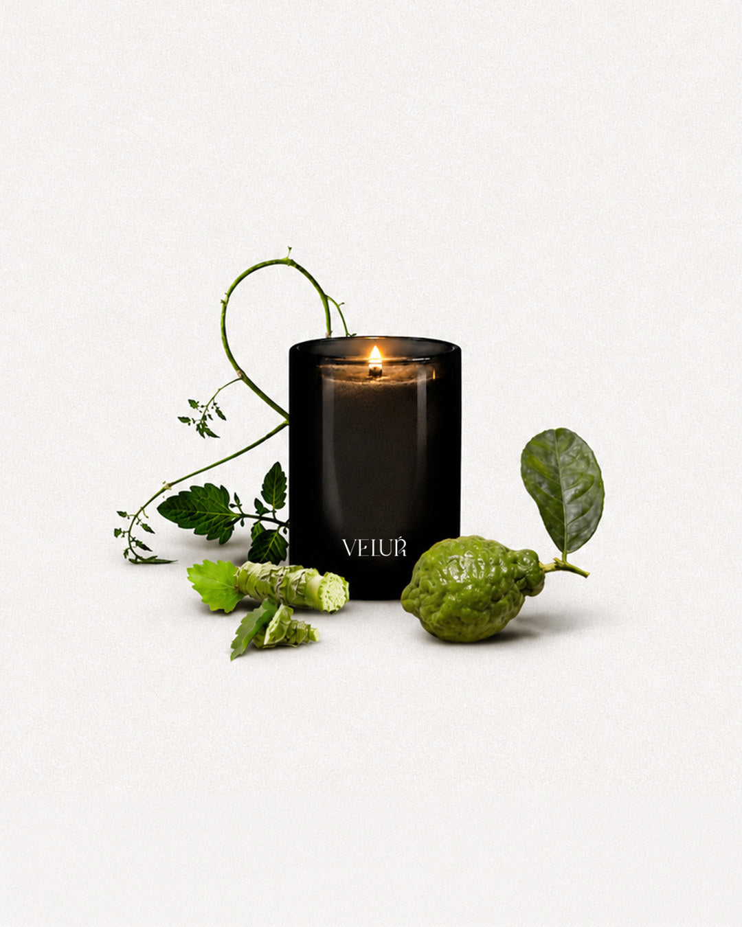 Candle