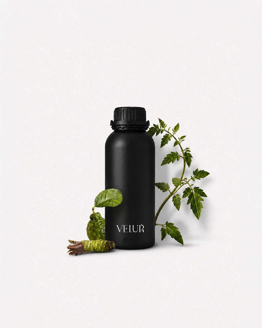 Soleá Fragrance Bottle — HERBAL VERLÉ
