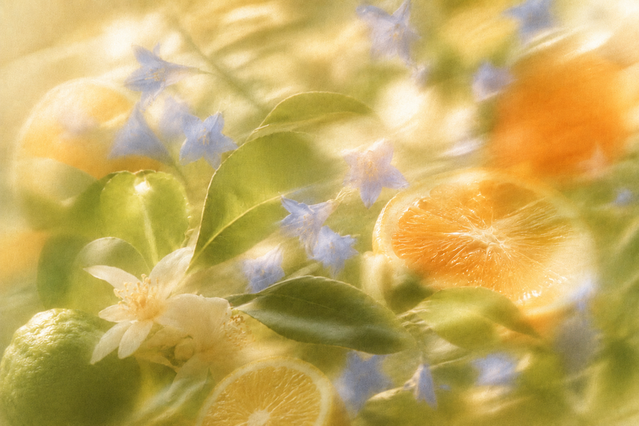 Citrus